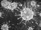 Coronavirus : tous nos articles
